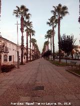 Calle Jorge Manrique. 