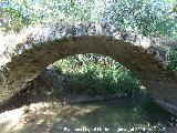 Puente romano del Caamares