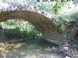 Puente romano del Caamares. Arranque del puente