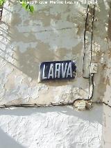 Larva. Cartel