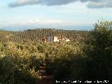 Cortijo de los Pleitos. 