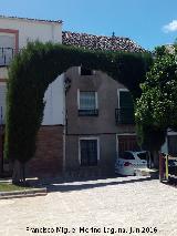 Plaza de la Constitucin. Arco de ciprs