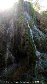 Parque Natural del Monasterio de Piedra. Cascada Chorreaderos. 