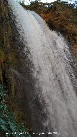 Parque Natural del Monasterio de Piedra. Cascada Cola de Caballo. 