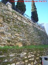 Muralla de Arjona. Muralla y antemuro del Paseo de los Mrtires