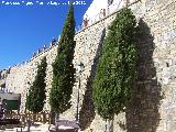 Muralla de Arjona. Antemuro del Alczar