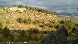 Pinturas rupestres del Abrigo III de la Pedriza. Vistas desde el abrigo