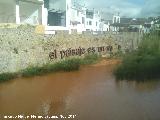 Puente de Gnave. El paisaje es un sueo