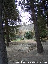 Muralla de Sabiote. Muralla Norte extramuros