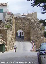 Puerta de Granada. 