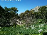 Casilla de la Caada de las Hazadillas. Paraje donde se encuentra