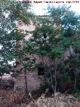 Castillo de Aldehuela. Torre del Homenaje