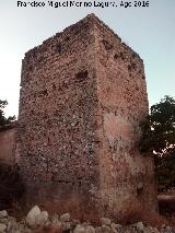 Castillo de Aldehuela