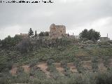 Castillo de la Mua. 