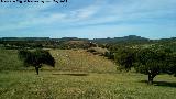 Finca Puerto Laca. Vistas hacia la ermita