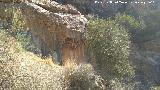 Pinturas rupestres de la Cueva de Ro Fro III. Abrigo