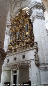 Catedral de Granada. rgano del Evangelio. Parte trasera