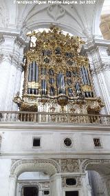 Catedral de Granada. rgano de la Epstola. 