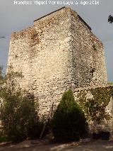 Torre de Alczar. 