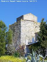 Torre de Alczar. 