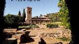 Alhambra. Medina. Al fondo el Convento de San Francisco