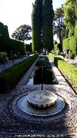 Generalife. Jardines Bajos. 