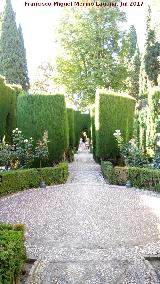 Generalife. Jardines Bajos. 