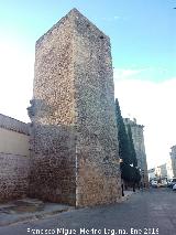 Castillo de las Torres Oscuras. 