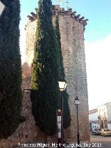 Castillo de las Torres Oscuras. Torre Ochavada