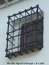 Casa de la Calle San Ildefonso n� 2. Reja de rosetas