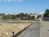 beda. Desde la Muralla de la Saludeja