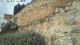 Muralla de Saludeja. 