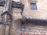 Iglesia de San Isidoro. Grgola de la portada derecha