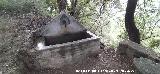 Fuente de la Bellota