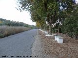 Paseo de la Carretera de la Confederacin