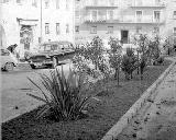 Plaza de las Pastiras. Foto antigua