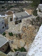 Castillo de Torres. 