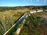 Fuente de Burguillos. 