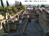 Medina Azahara. Casa del Ejrcito. 