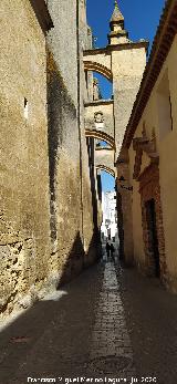 Bas�lica Menor de Santa Mar�a de la Asunci�n. Callej�n de las Monjas
