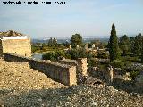 Medina Azahara. Saln Rico y Jardines. 