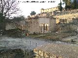 Medina Azahara. Vivienda de la Alberca. 