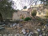 Medina Azahara. Vivienda de la Alberca. 