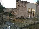 Medina Azahara. Vivienda de la Alberca. 