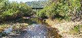 R�o J�ndula. Al fondo el Puente de Hierro