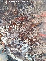 Pinturas rupestres del Abrigo del Guadal�n II. Detalle