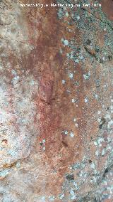 Pinturas rupestres del Abrigo del Guadal�n IV. 