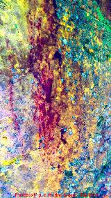 Pinturas rupestres del Abrigo del Guadal�n IV. Tratada con Dstretch