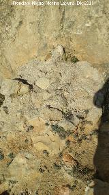 Muralla de Jan. Torren Sur III. Final del lienzo musulmn