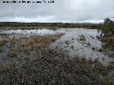 Laguna Pequea de los Perales. 